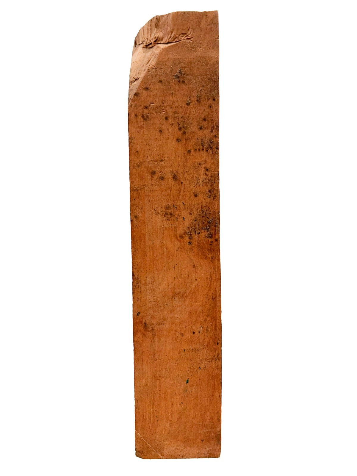 Moroccan Thuya Burl Turning Blank - 9.5" x 2" x 2" [E-1071]