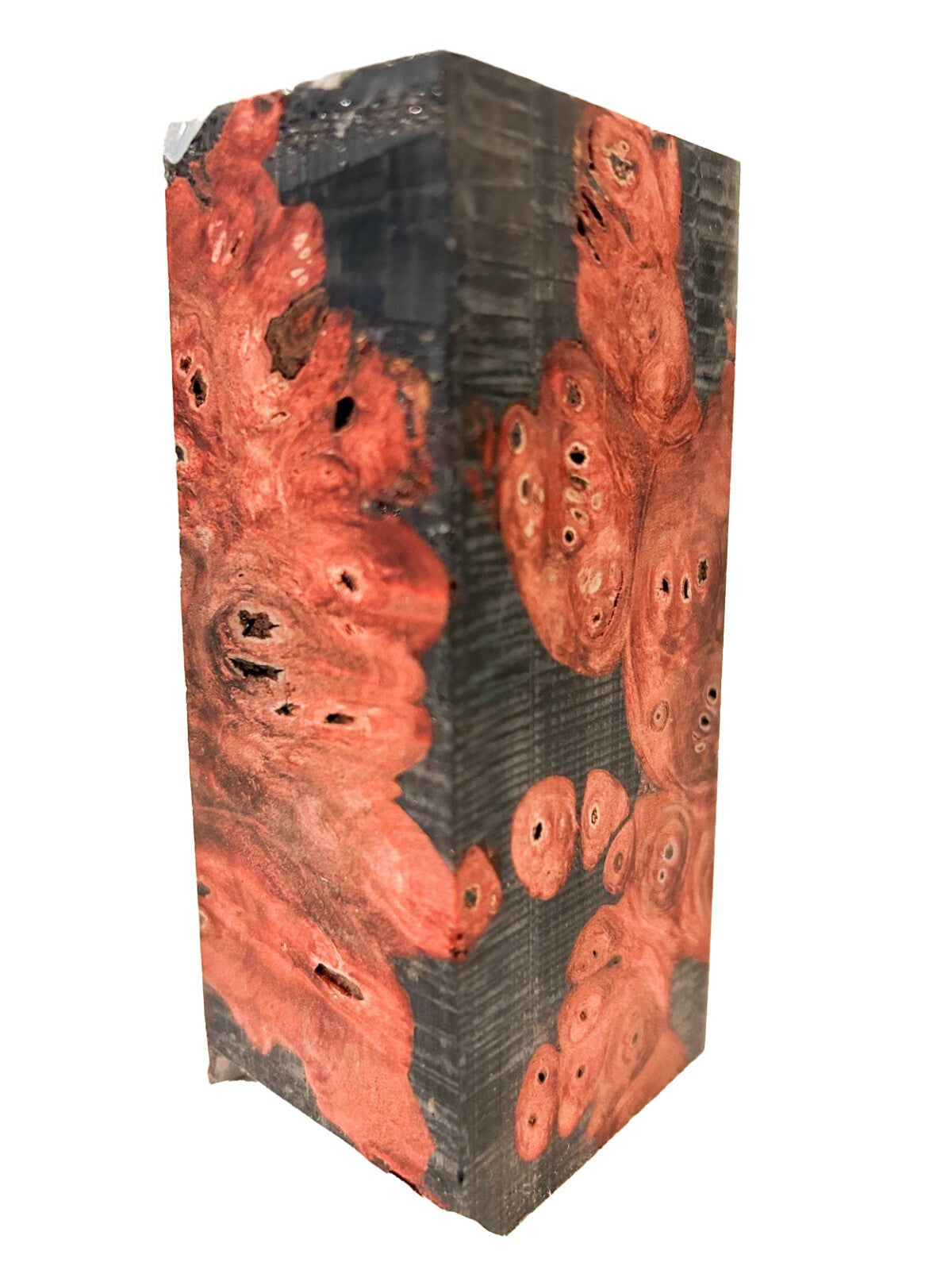 Stabilized & Dyed Buckeye Burl - 4.5" x 1.75" x 2" [E-895]