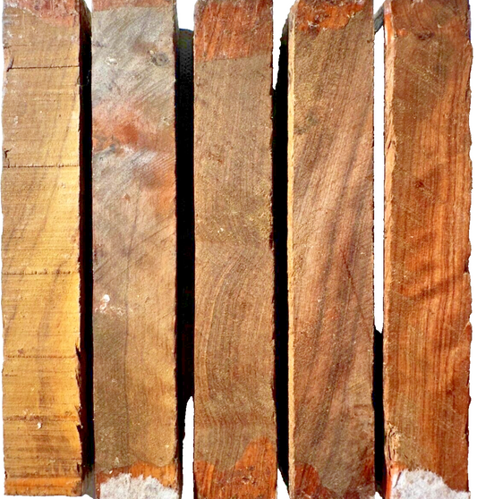 Kiln Dried Olive Wood Turning Blanks - 1" x 1" x 6" [E-547]