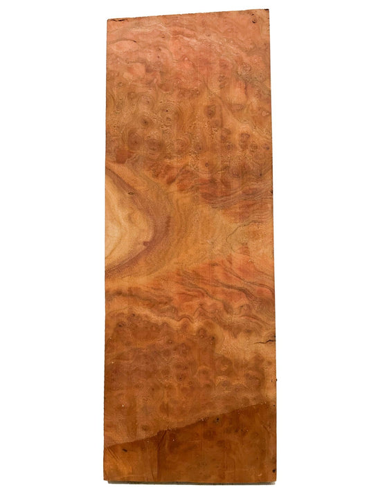 Highly Figured Asian Camphor Burl guitar body blank - 23.5" x 8.5" x 2" [E-1080]