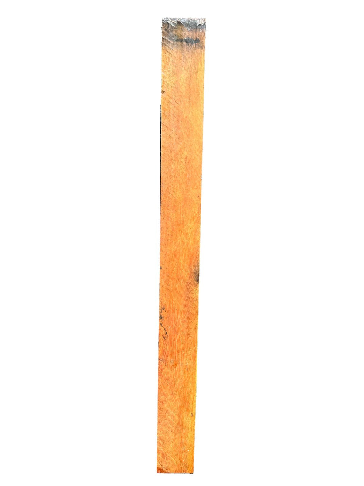Vibrant Osage Orange Spindle/Pool cue/Turning blank - 24" x 2" x 2" [E-1064]