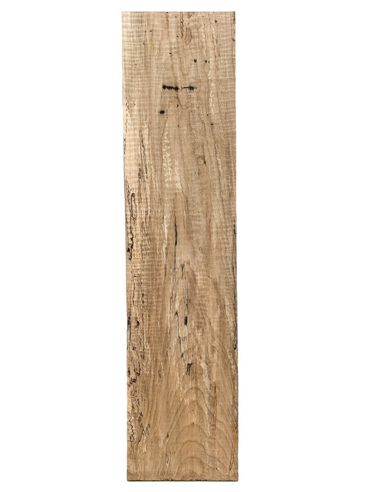 Curly Spalted Wormy Maple Board - 32.5" x 7.5" x 7/8" [E-990]