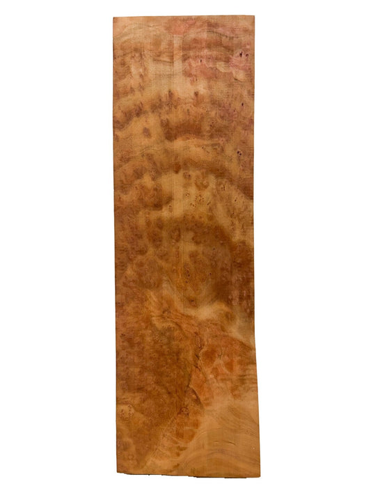 Highly Figured Asian Camphor Burl guitar body blank - 24.5" x 7.5" x 2" [E-1078]