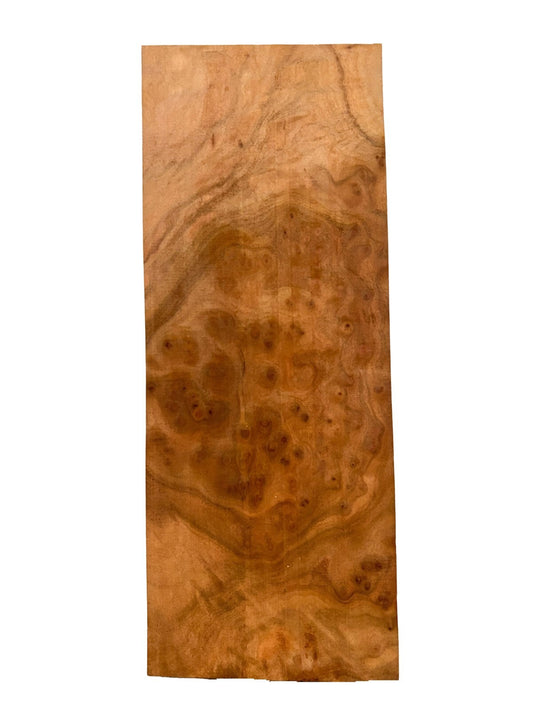 Highly Figured Asian Camphor Burl guitar body blank - 21" x 8" x 2" [E-1079]