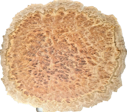 Australian Bimblebox Burl Cap - 15" x 13" x 3" [E-629]