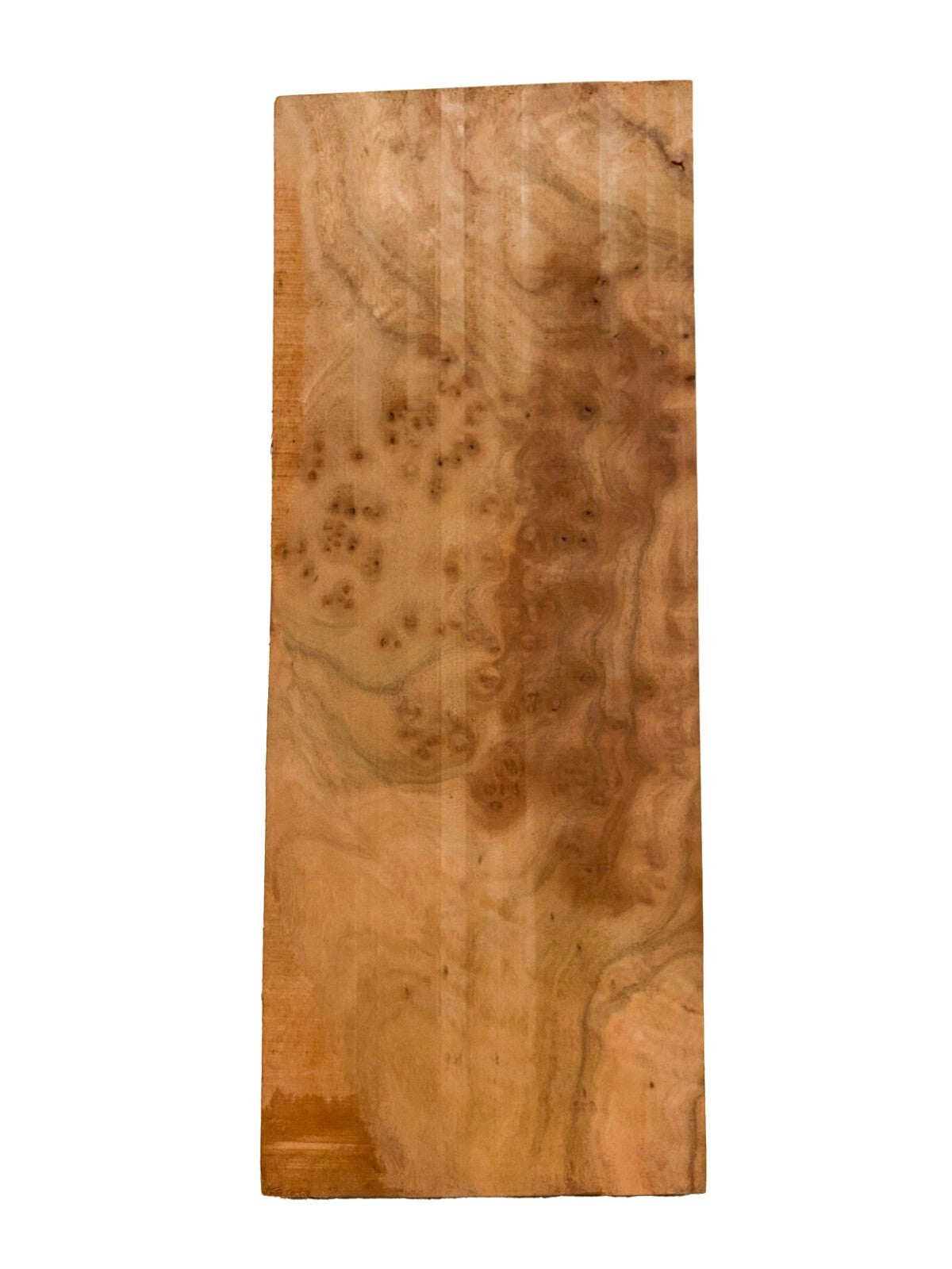 Highly Figured Asian Camphor Burl guitar body blank - 21" x 8" x 2" [E-1079]