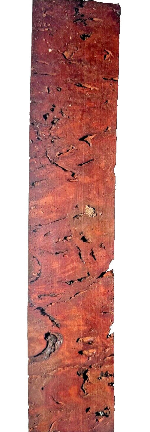 Australian Gummy Red Mallee Turning Blank - 11 1/2" x 2 1/4" x 2 1/4" [E-568]