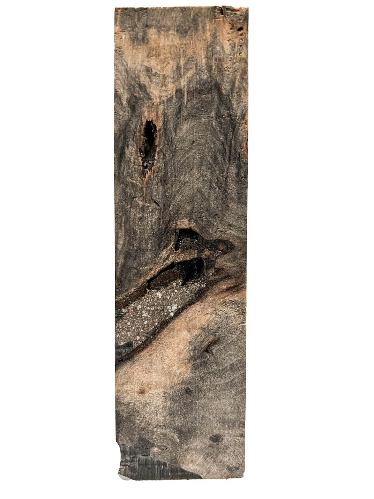 Stabilized & Epoxied Buckeye Burl - 6" x 1.75" x 1.75" [E-899]