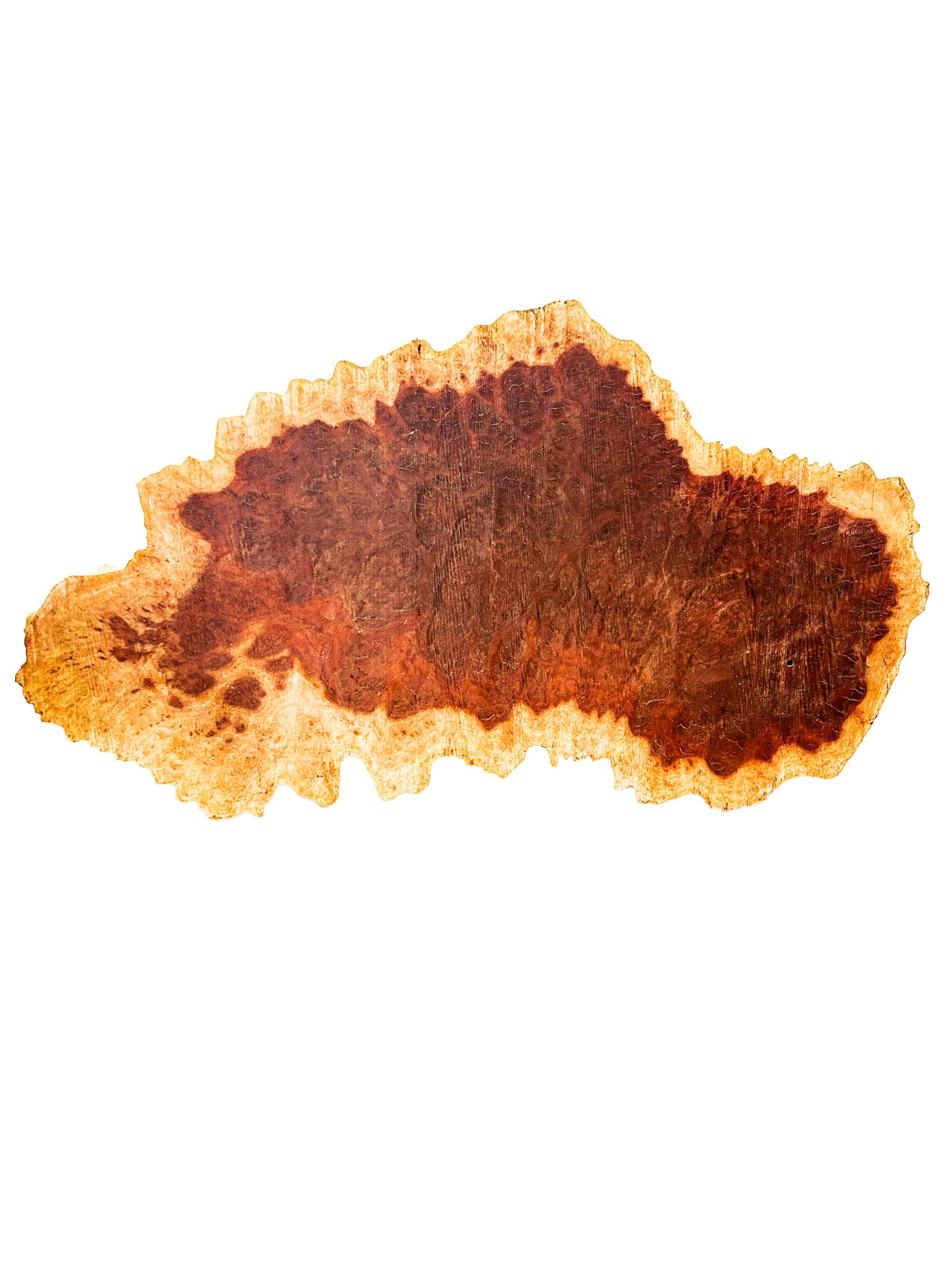 Australian Red Mallee Burl Platter  21"x 10"x 1" WE598