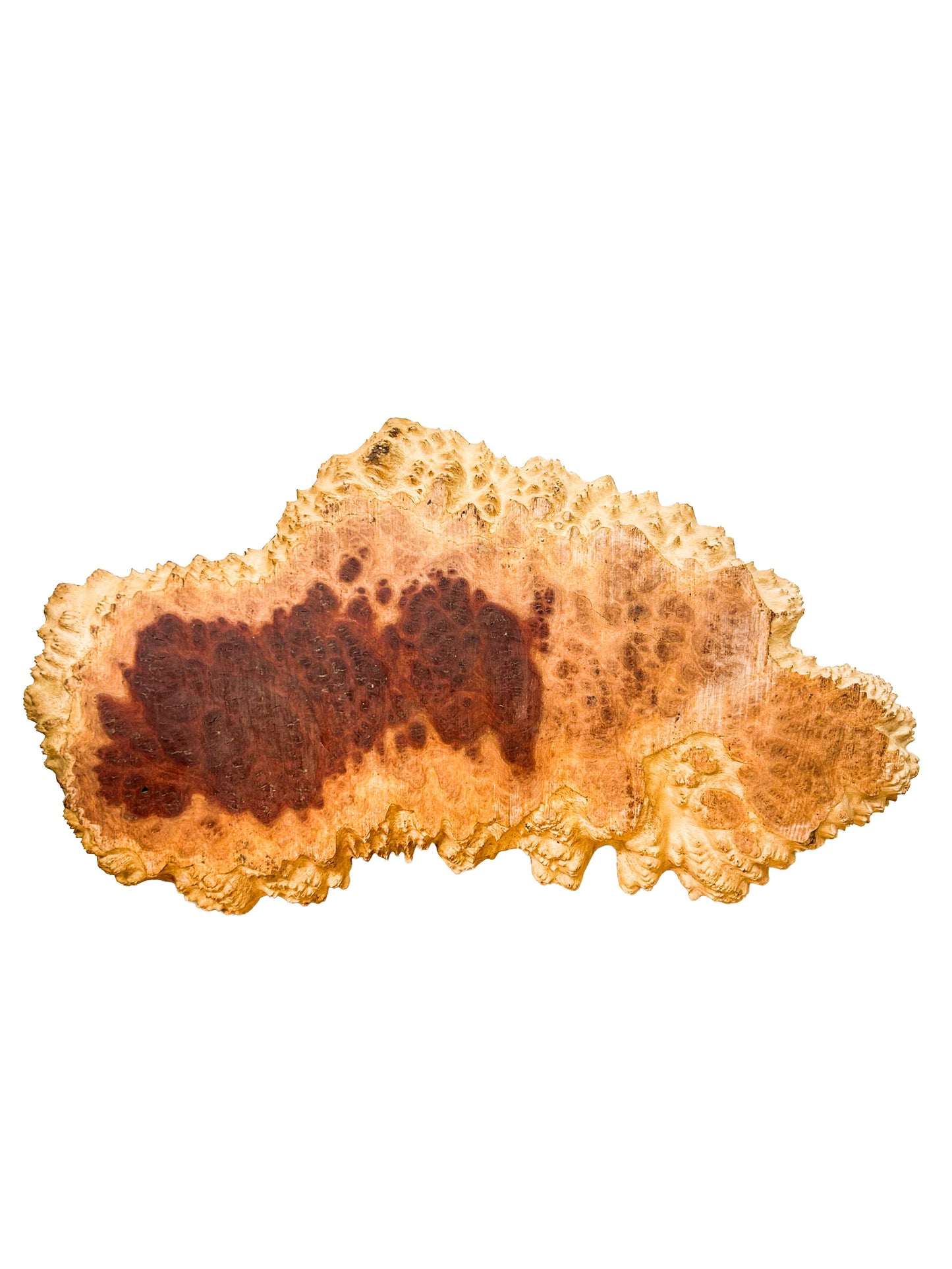 Australian Red Mallee Burl Platter  21"x 10"x 1" WE598