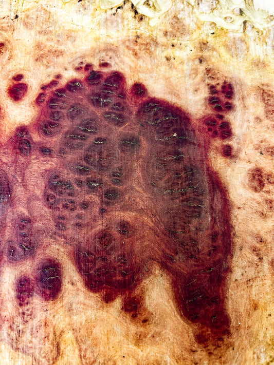Australian Red Mallee Burl Platter  21"x 10"x 1" WE598