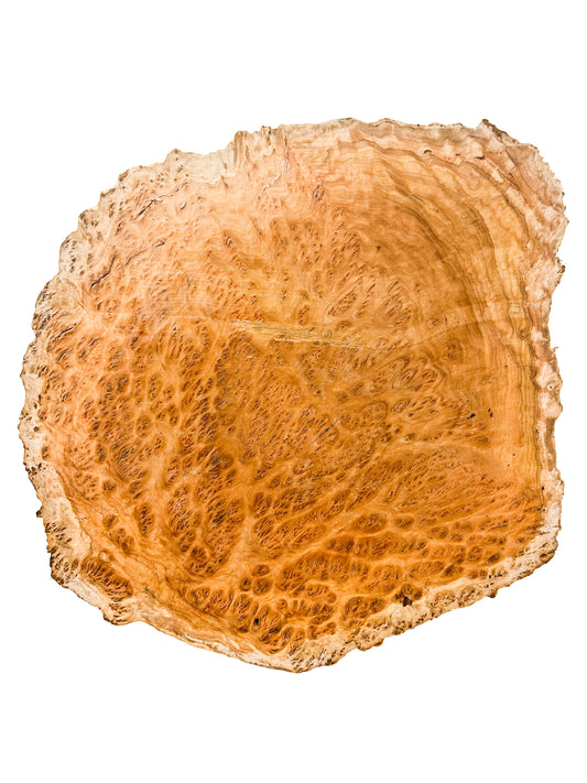 Australian Coolibah Burl Platter  15"x 13"x 1" WE599