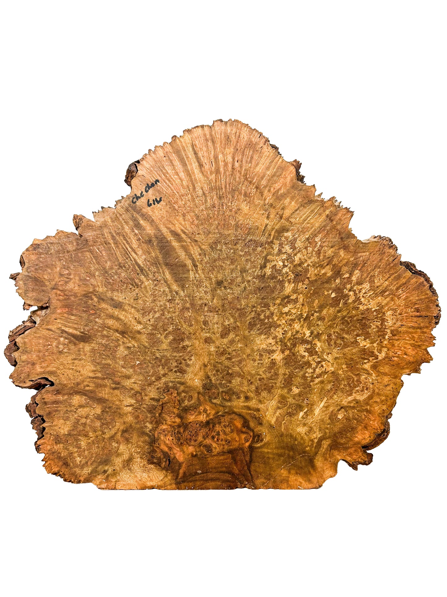 Chechen Burl Platter  15"x 12"x 1.5" WE600