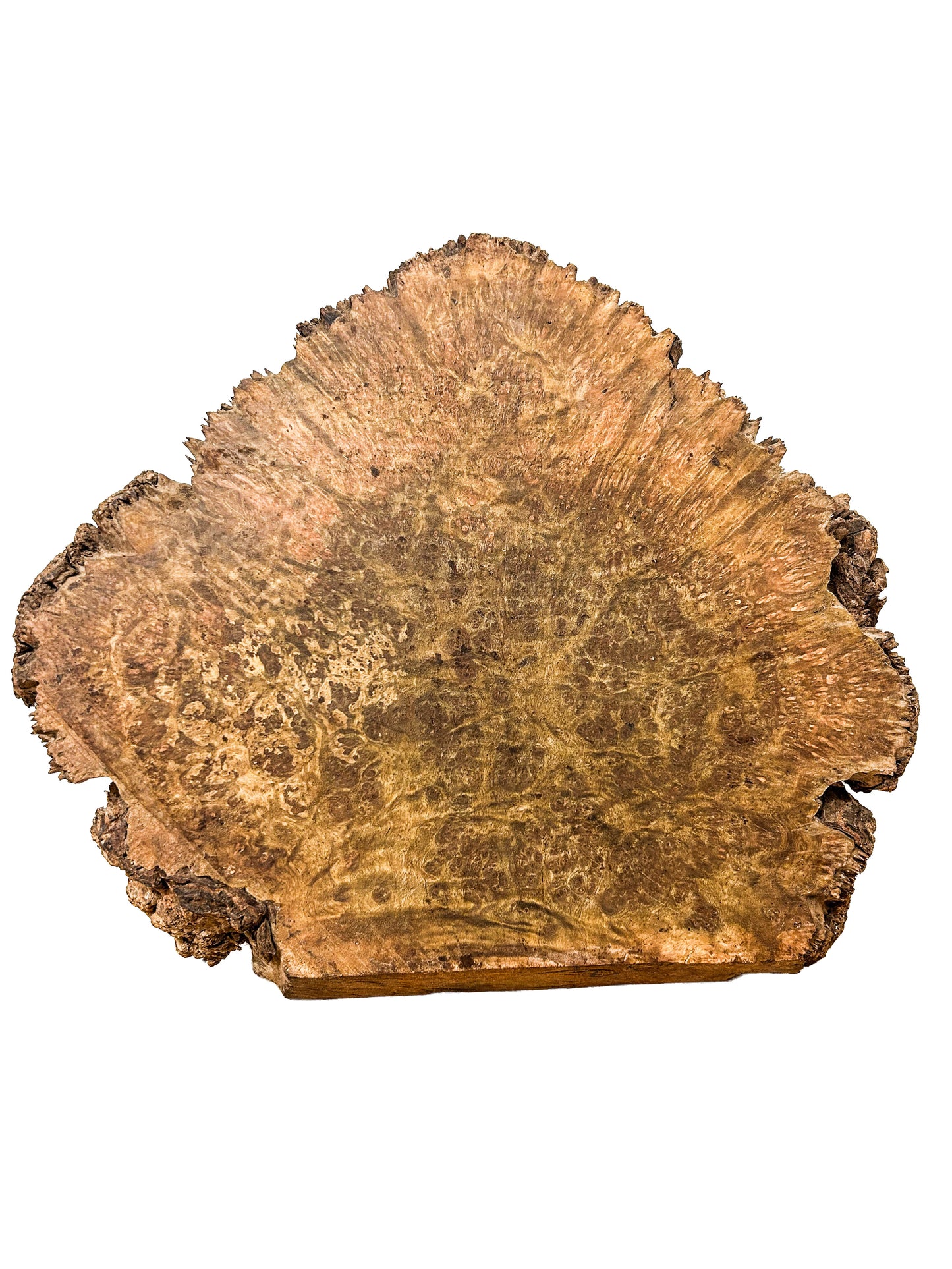 Chechen Burl Platter  15"x 12"x 1.5" WE600