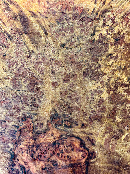 Chechen Burl Platter  15"x 12"x 1.5" WE600