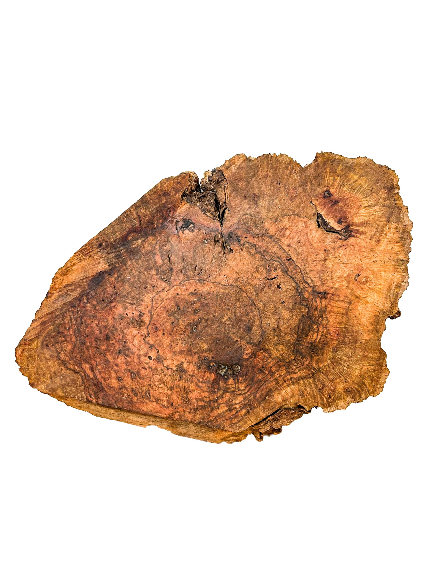 Chechen Burl Platter  17"x 12"x 1.5" WE601