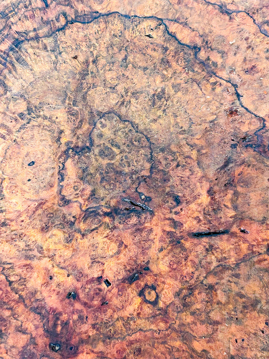 Chechen Burl Platter  17"x 12"x 1.5" WE601