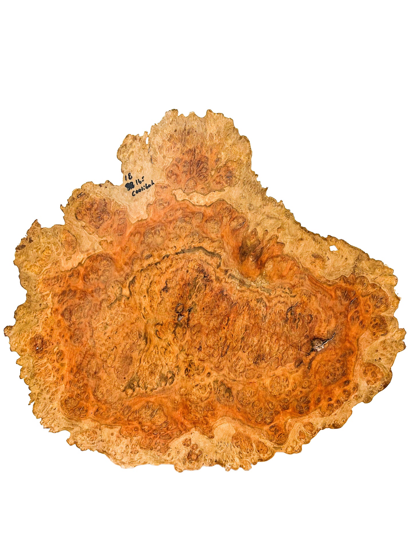 Australian Coolibah Burl Platter  18"x 16"x 1" WE602