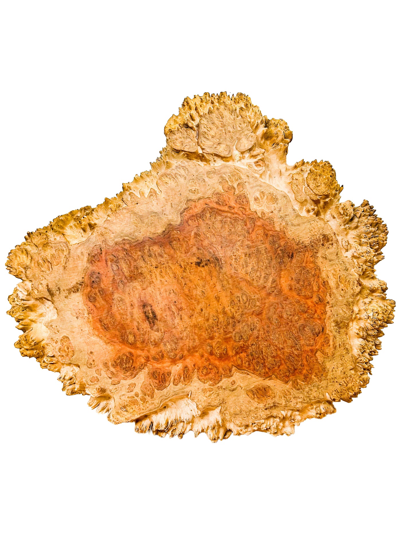 Australian Coolibah Burl Platter  18"x 16"x 1" WE602