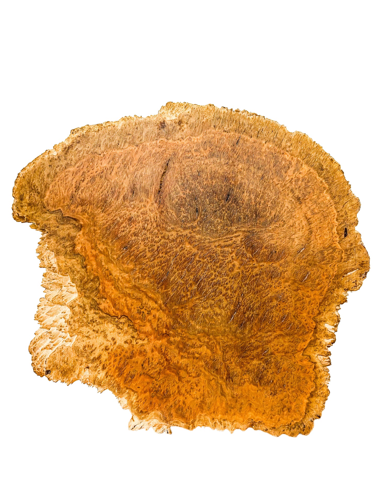 Australian Bimble Box Burl Platter  21"x 20"x 1" WE603