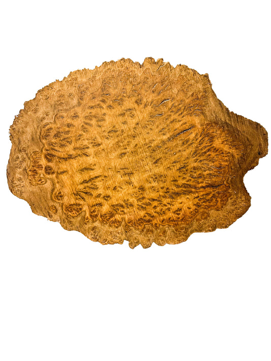Australian Yellow Box Burl Cap/Bowl Blank - 16" x 12" x 3.25" WE607