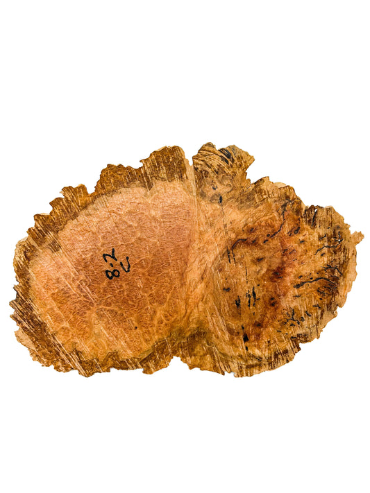 Australian Coolibah Burl Cap/Bowl Blank - 17" x 11" x 4" WE608