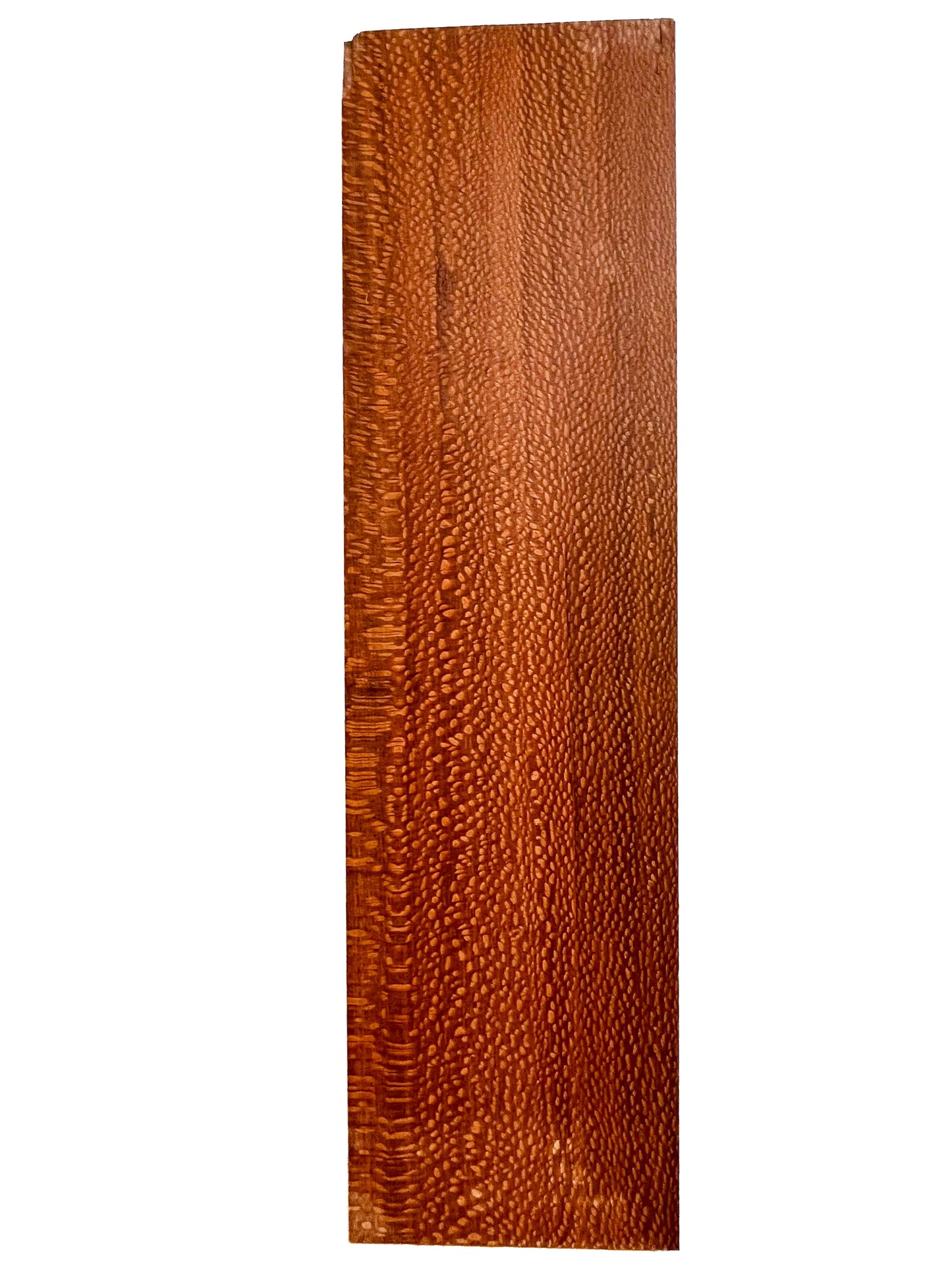 Leopardwood - 29"x 8"x .75" - WE630