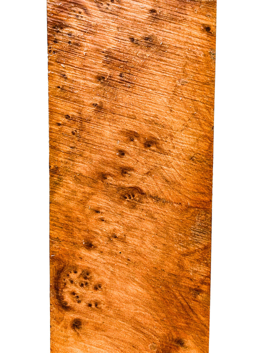 Thuya, Moroccan Burl Turning Blank - 15.25" x 3" x 3" - WE680