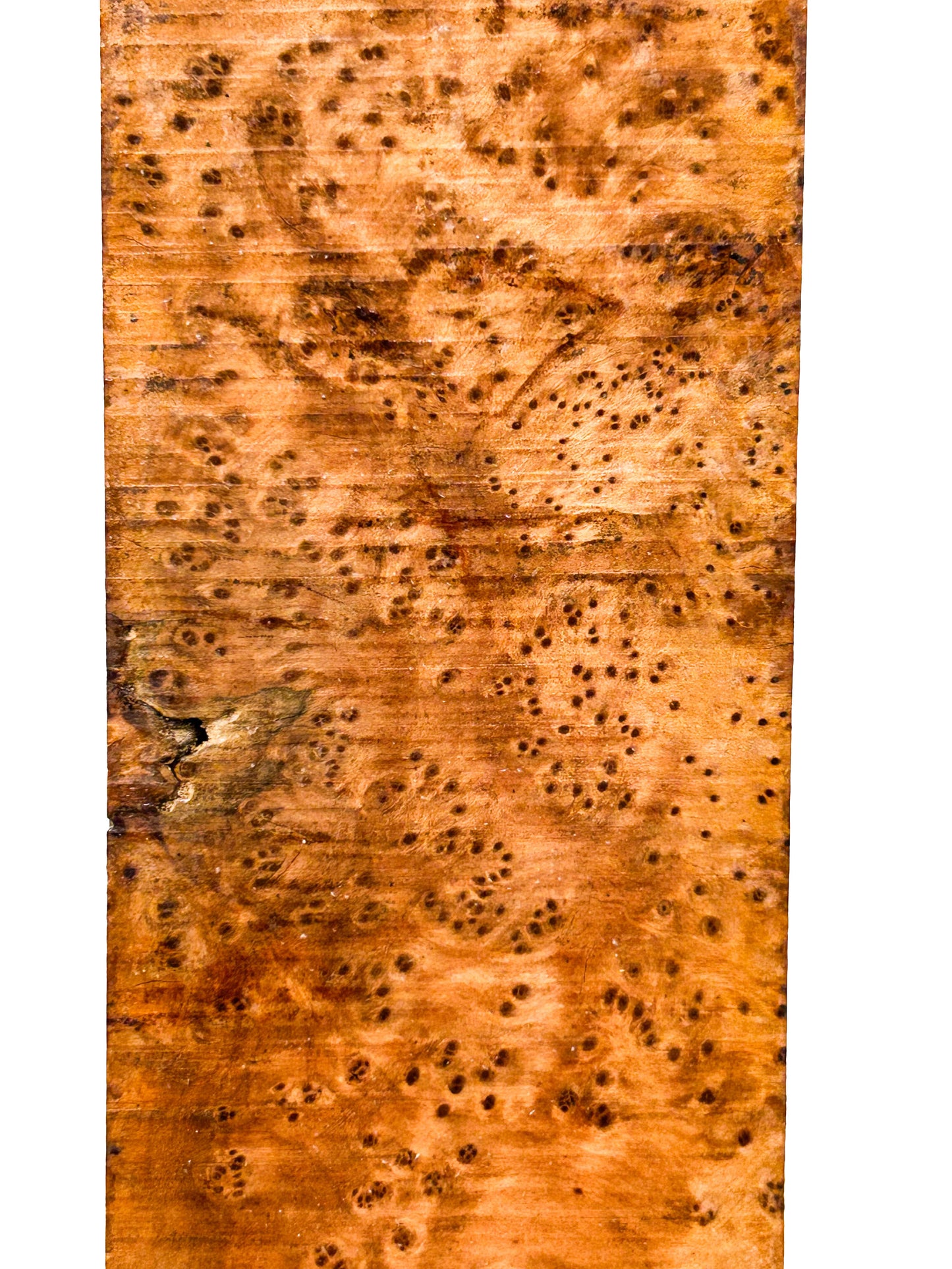 Thuya, Moroccan Burl Turning Blank - 13-17" x 3.5" x 3.25" - WE681