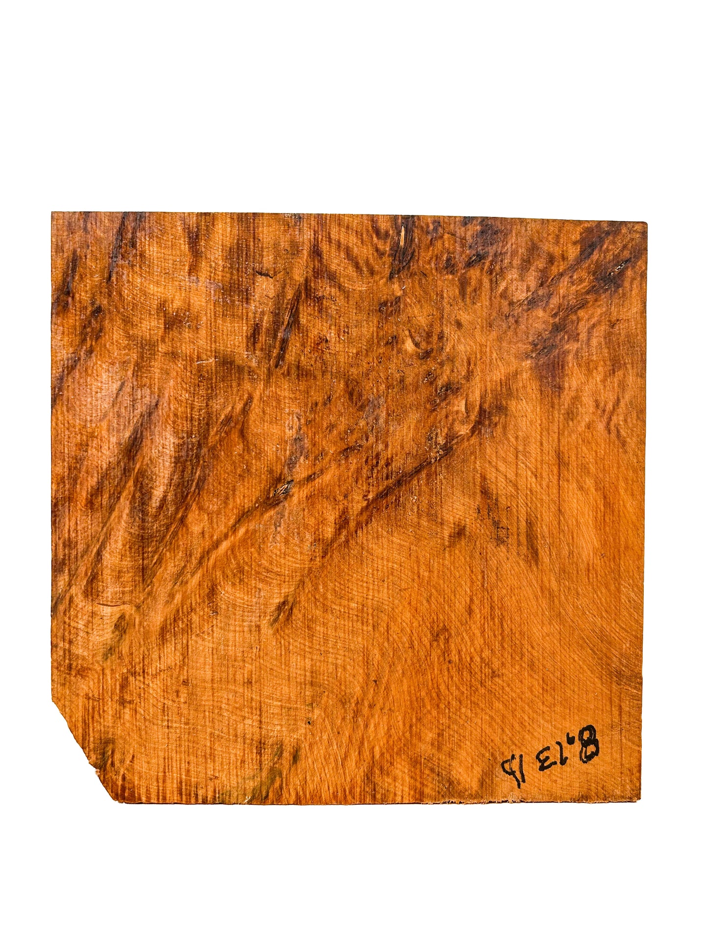 Thuya, Moroccan Burl Bowl Blank - 9.75" x 9.75" x 2-1/8" - WE682