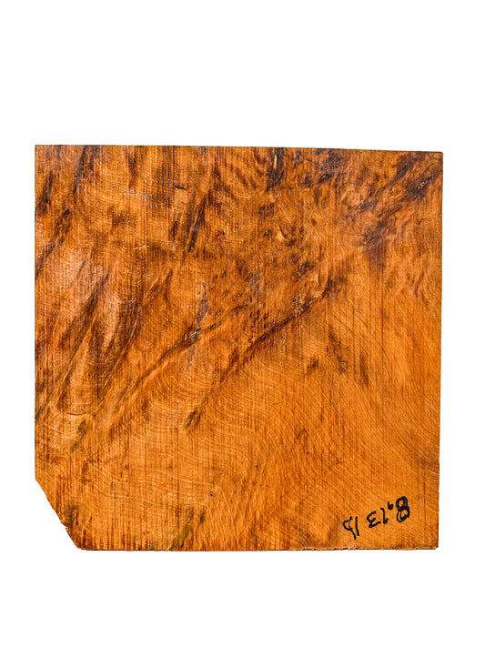 Thuya, Moroccan Burl Bowl Blank - 9.75" x 9.75" x 2-1/8" - WE682
