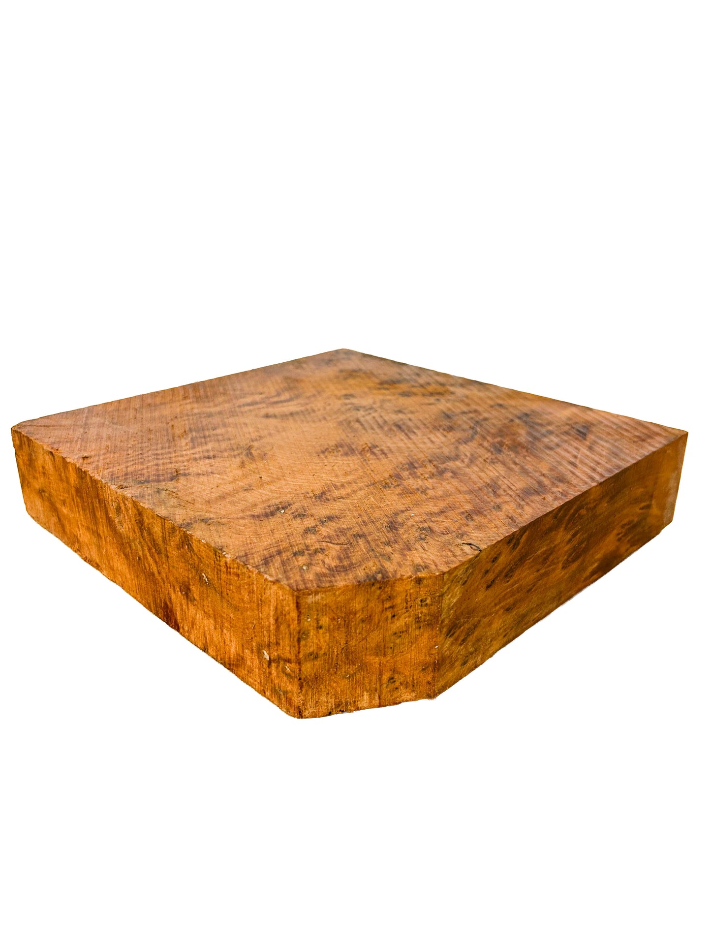 Thuya, Moroccan Burl Bowl Blank - 9.75" x 9.75" x 2-1/8" - WE682