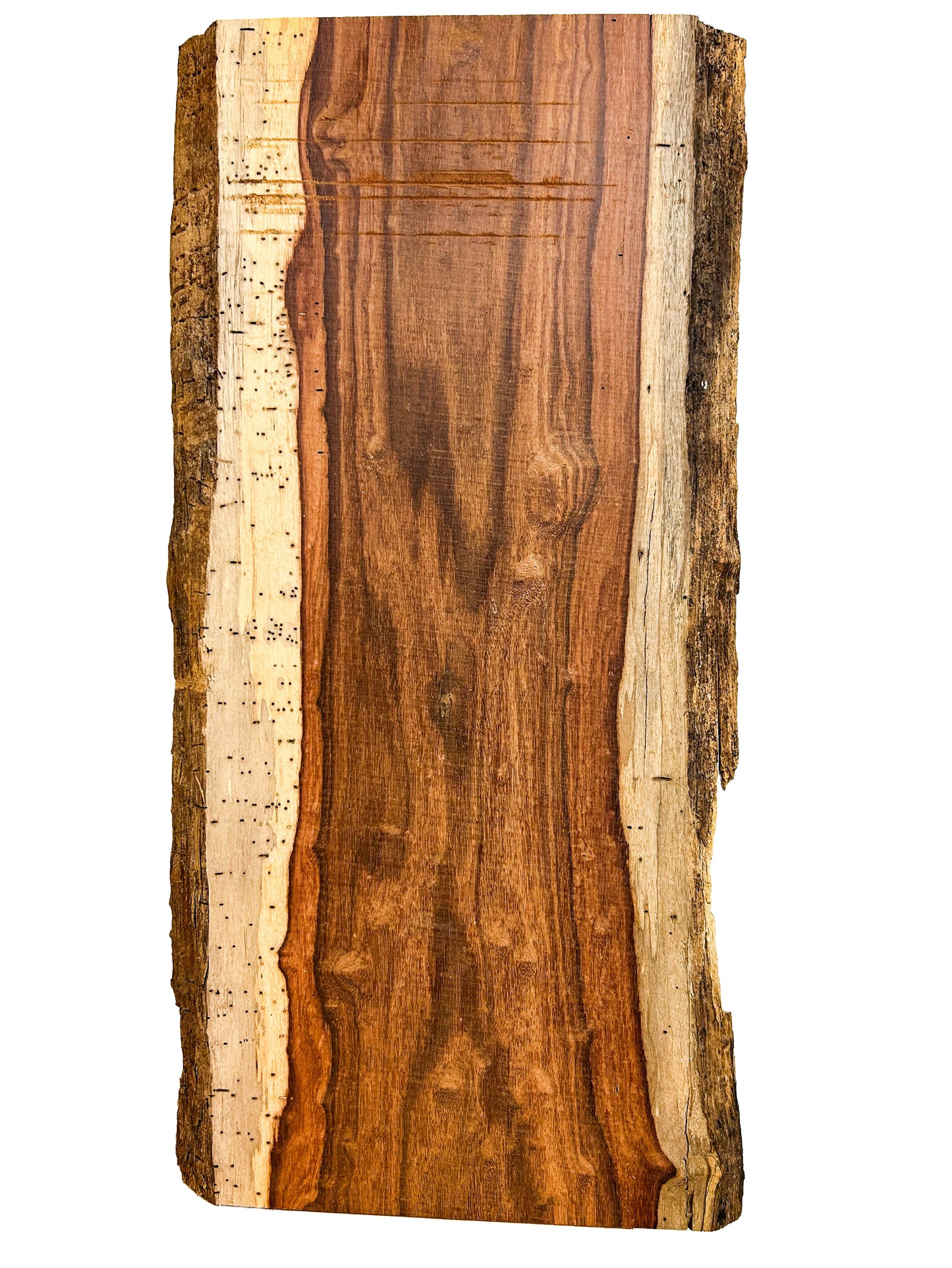 Hormigo Live Edge Slab - 24"x 11"x 7/8" - WE719