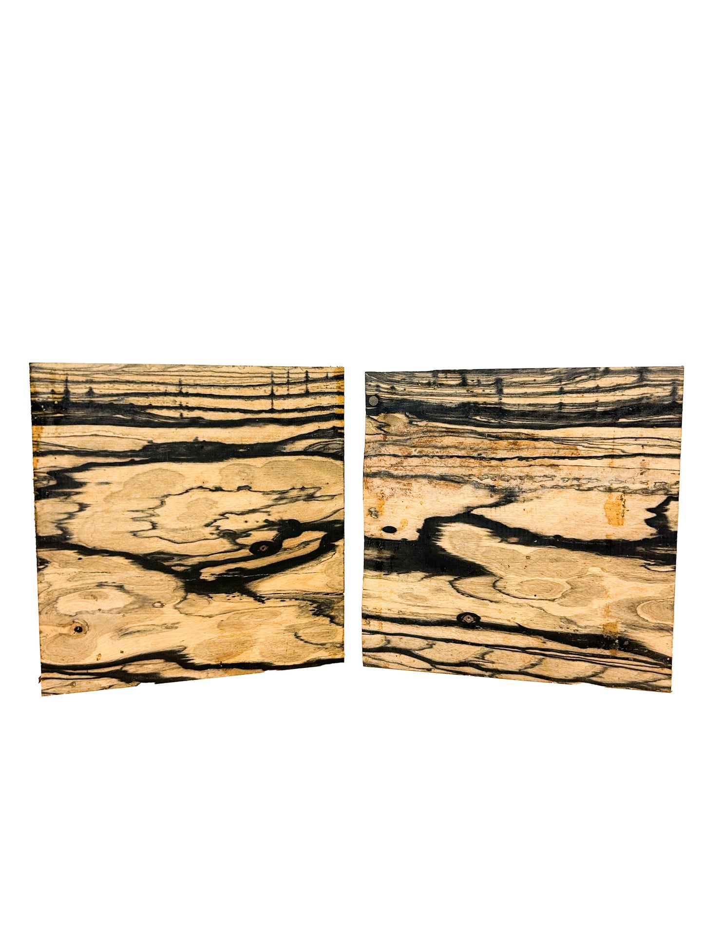 Ebony, Black & White/Pale Moon Striking Bowl Blank - 8.5" x 8.25" x 2" WE800