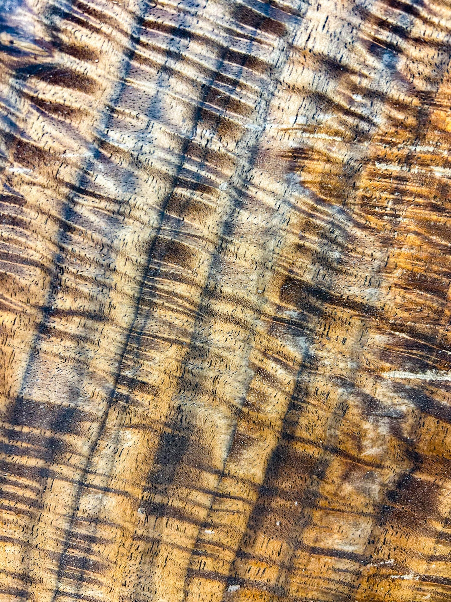 Walnut, Bastogne HIGH FIGURE bowl blank/platter - 11.5"x 11.5" x 2-7/8" WE837