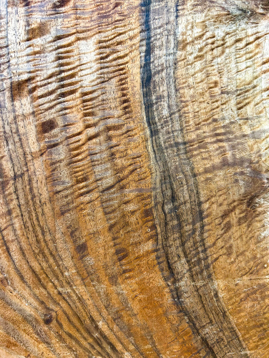 Walnut, Bastogne HIGH FIGURE bowl blank/platter - 13"x 13" x 2.5" WE838