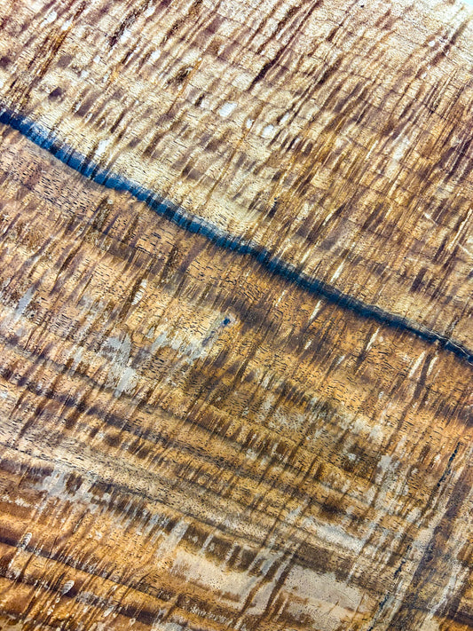 Walnut, Bastogne HIGH FIGURE bowl blank/platter - 14"x 14" x 2-7/8" WE839