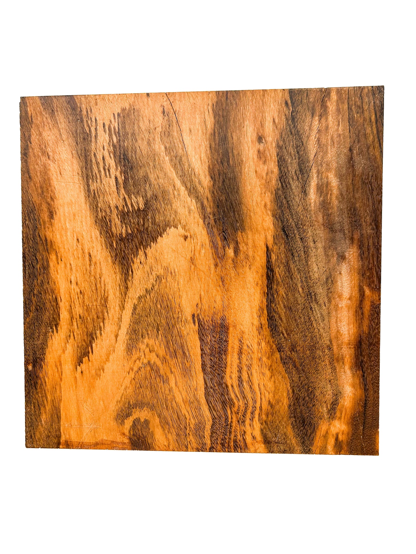 Goncalo Alves/Tigerwood Thick Stock Highly Figured Bowl Blank - 12" x 12" x 4" WE847