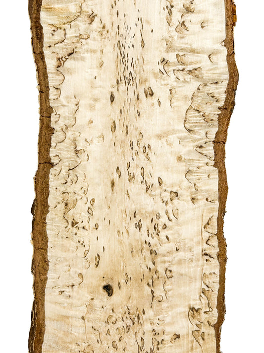 Birch, Masur/Karelian Live Edge- 34" x 5-6.5" x 1.75" WE859