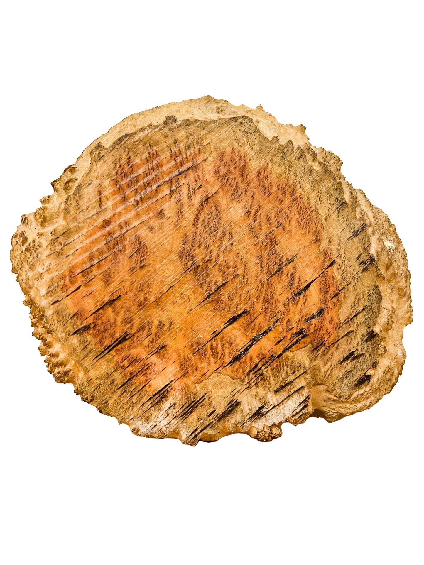 Eucalyptus, Aussie Coolibah Burl Platter/Charcuterie Board - 13"x 10.5"x 1-1/8" WE867