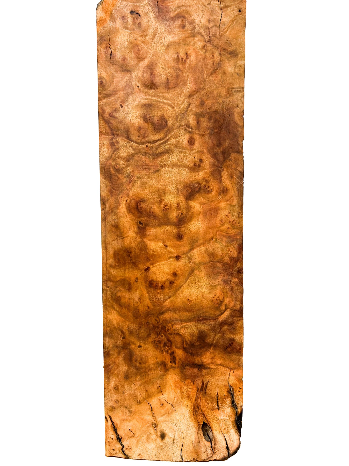 Camphor, Asian Burl Highly Figured blank - 24" x 7.5" x 2.5" WE879