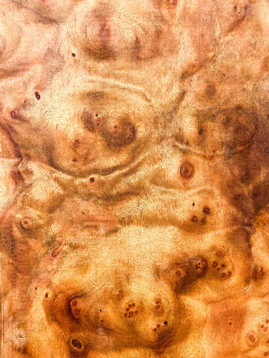 Camphor, Asian Burl Highly Figured blank - 24" x 7.5" x 2.5" WE879