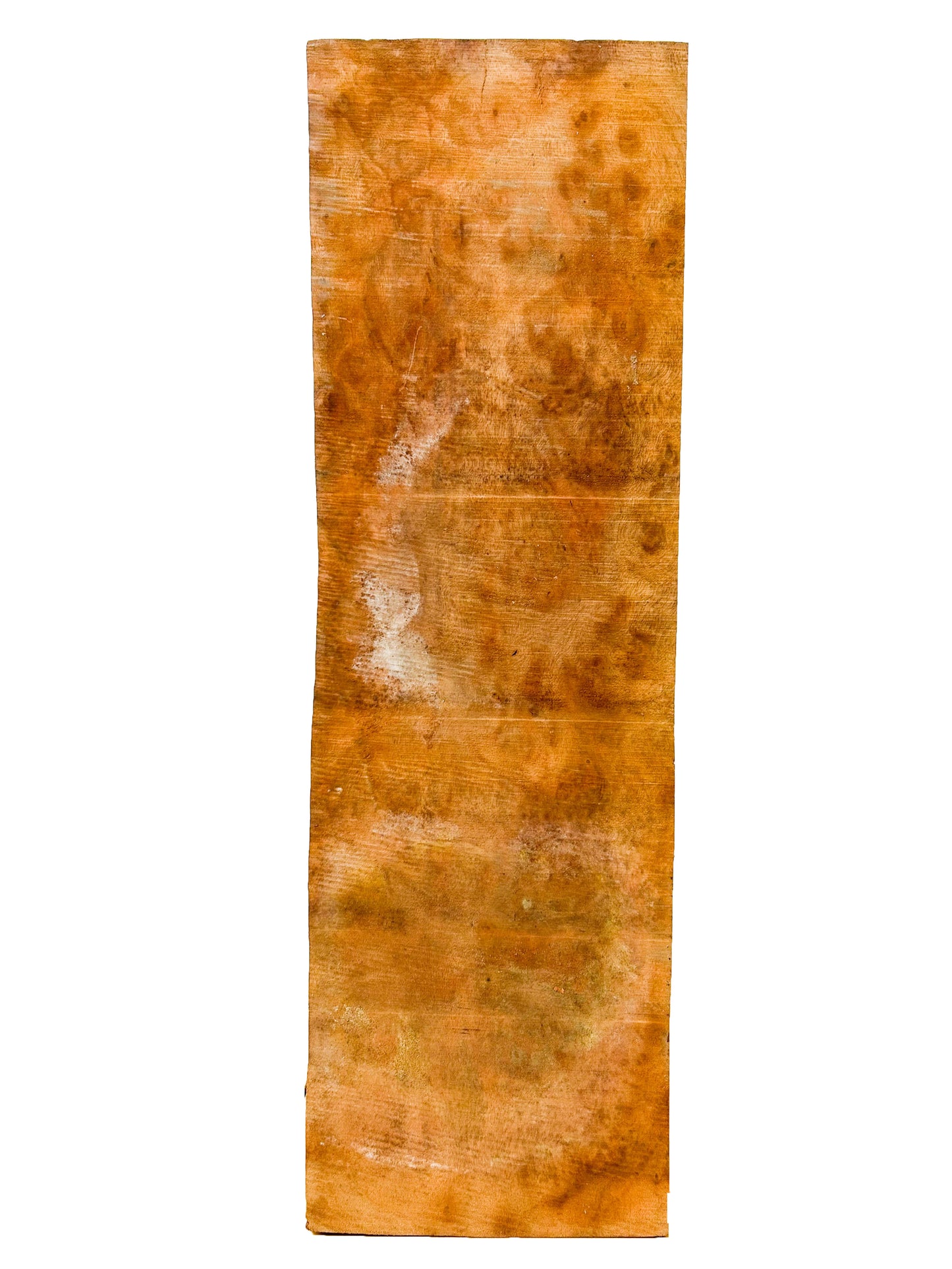Camphor, Asian Burl Highly Figured blank - 24" x 7.5" x 2.5" WE879