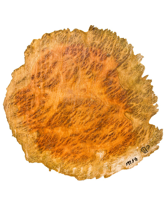 Eucalyptus, Aussie Coolibah Burl Platter/Charcuterie Board - 10"x 9.5"x 1-1/8" WE907
