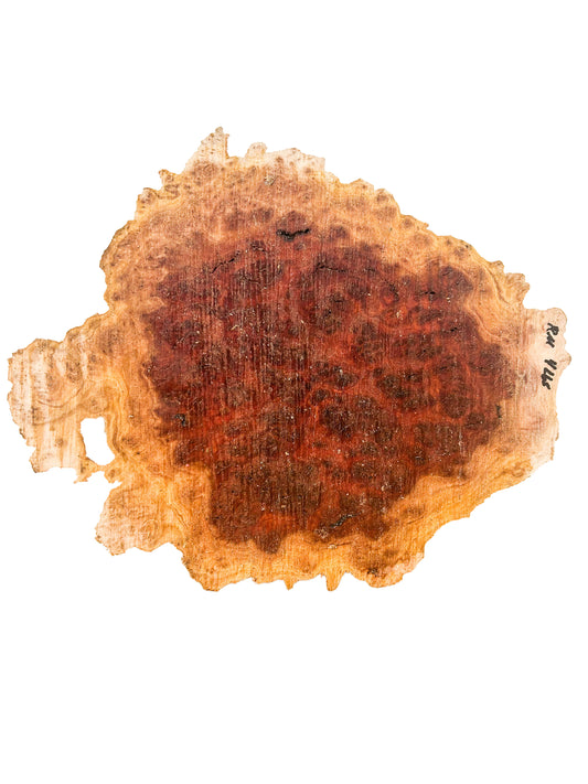 Eucalyptus, Aussie Red Mallee Burl Platter/Charcuterie Board - 10"x 8"x 1-1/8" WE908