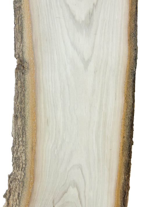 Holly Live Edge board - 38" x 8-10" x 3/4" - WE933