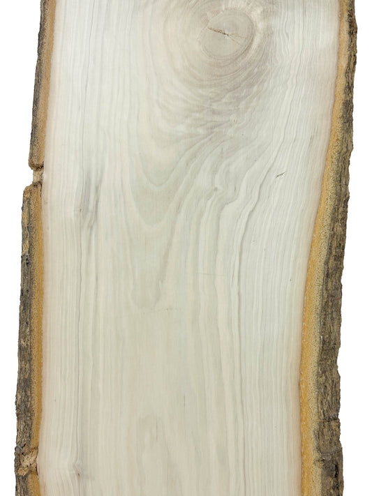 Holly Live Edge board - 37" x 9-11" x 3/4" - WE934