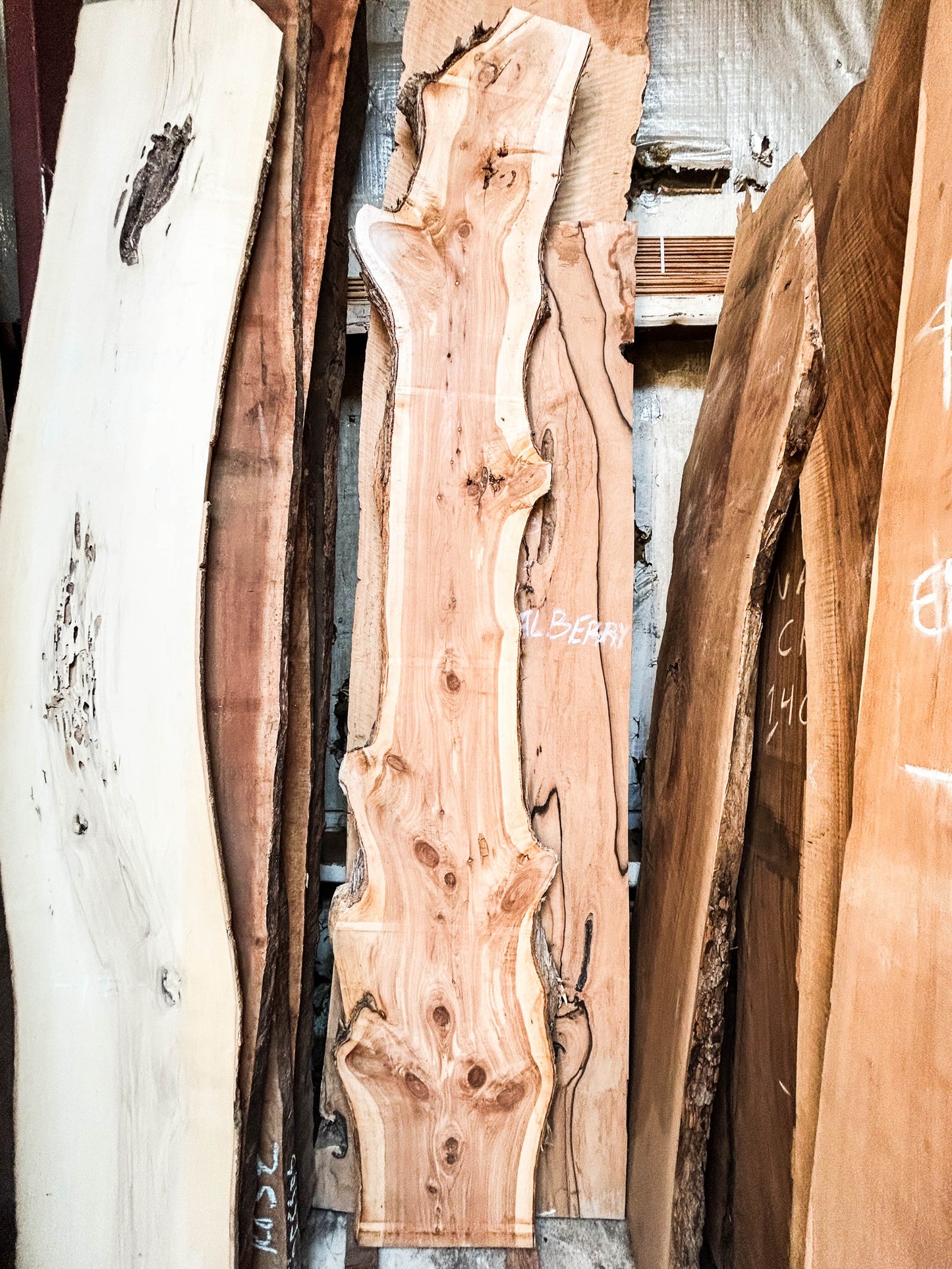 Cedar, Aromatic 8/4 Live Edge Slab - 108"x 12-19"x 2" [WE349]