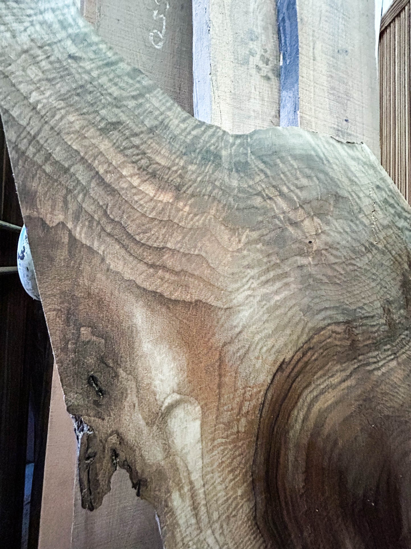 Walnut, Bastogne Live Edge Crotch Slabs - 69"x 16-25" x 2.5" [WE341]