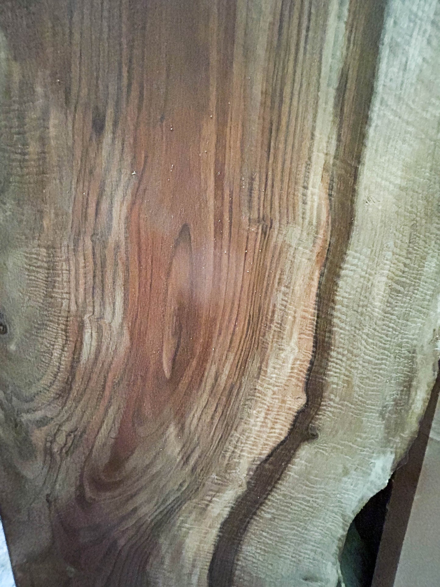 Walnut, Bastogne Live Edge Crotch Slabs - 69"x 16-25" x 2.5" [WE341]